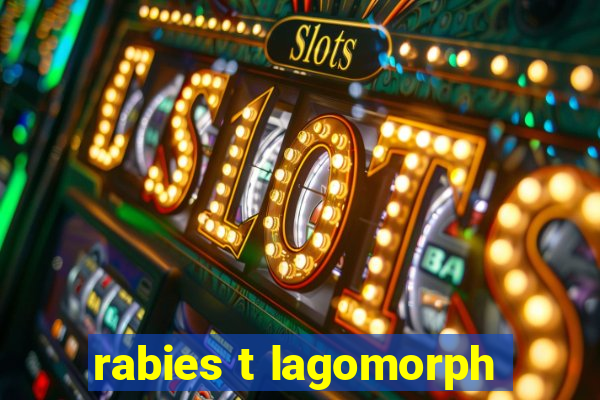 rabies t lagomorph