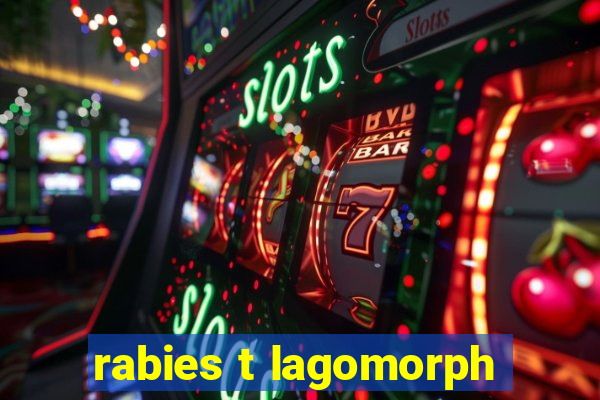 rabies t lagomorph