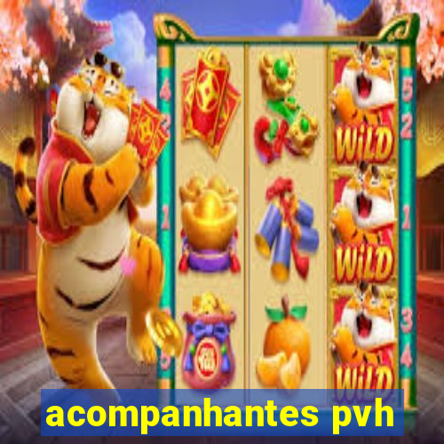 acompanhantes pvh
