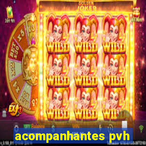 acompanhantes pvh