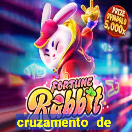 cruzamento de cavalo com mula