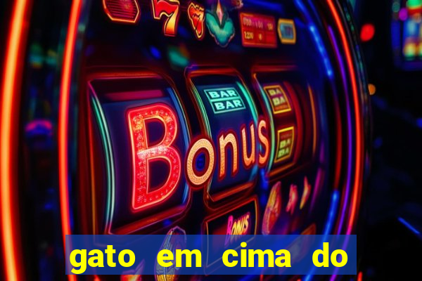 gato em cima do telhado significado espiritual