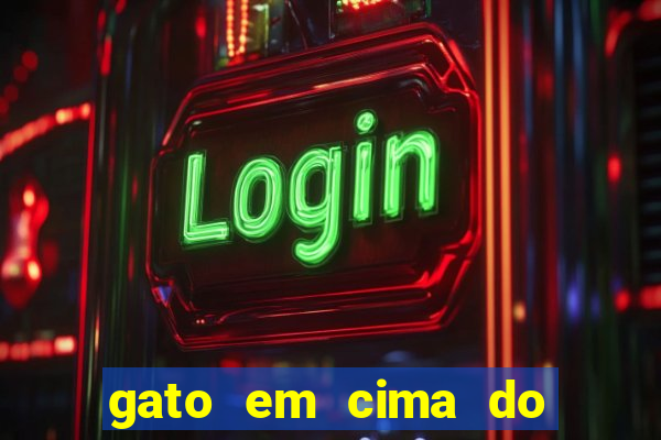 gato em cima do telhado significado espiritual