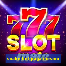 snake bet paga mesmo