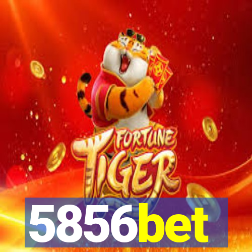 5856bet