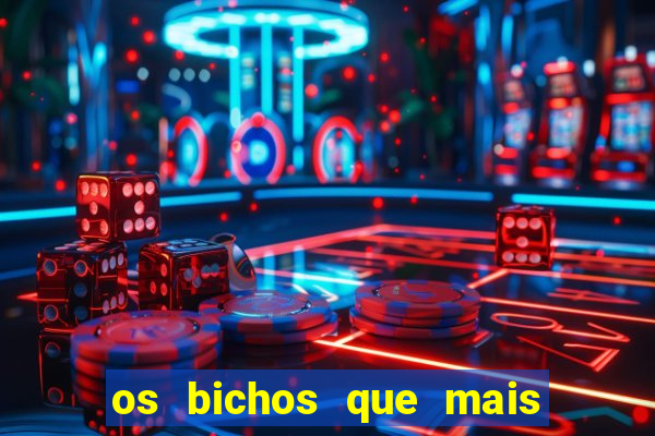 os bichos que mais saem na loteria federal