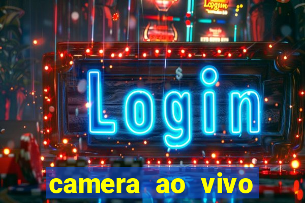 camera ao vivo beto carrero