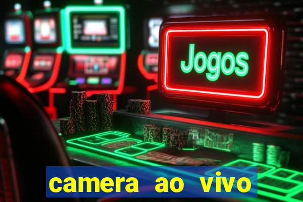 camera ao vivo beto carrero