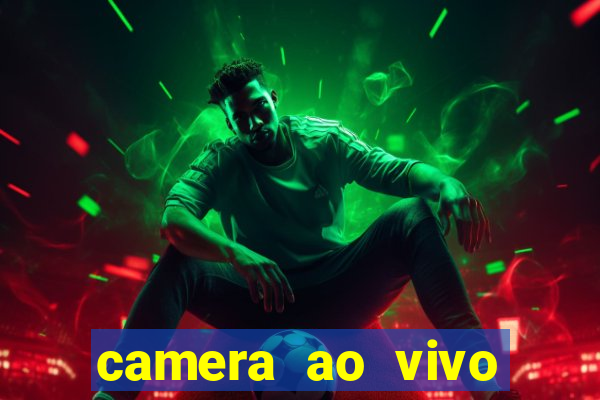 camera ao vivo beto carrero