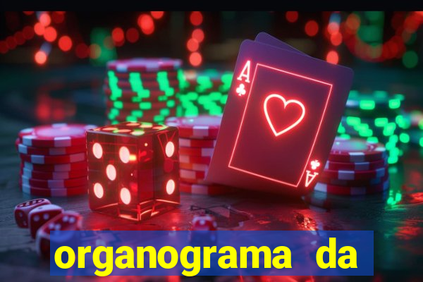 organograma da cacau show