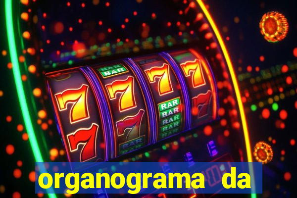 organograma da cacau show