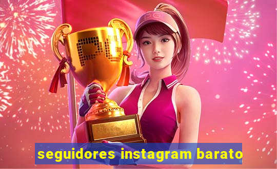 seguidores instagram barato