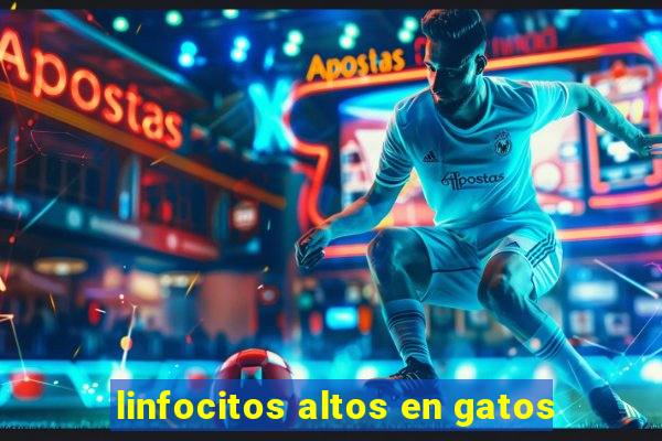 linfocitos altos en gatos