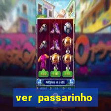 ver passarinho morto significado