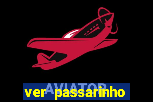 ver passarinho morto significado