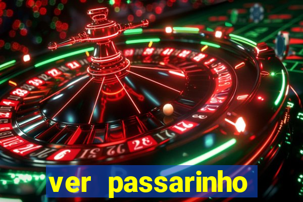 ver passarinho morto significado