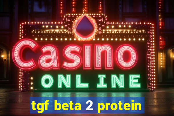 tgf beta 2 protein