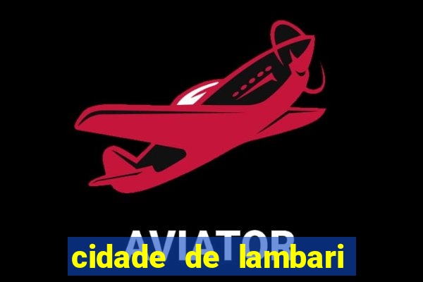 cidade de lambari sao paulo