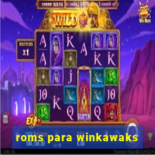 roms para winkawaks