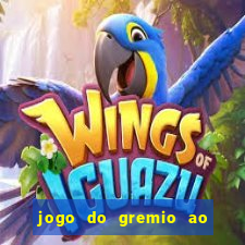 jogo do gremio ao vivo hd