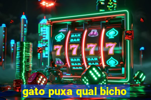 gato puxa qual bicho