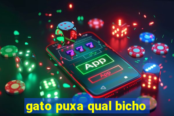 gato puxa qual bicho