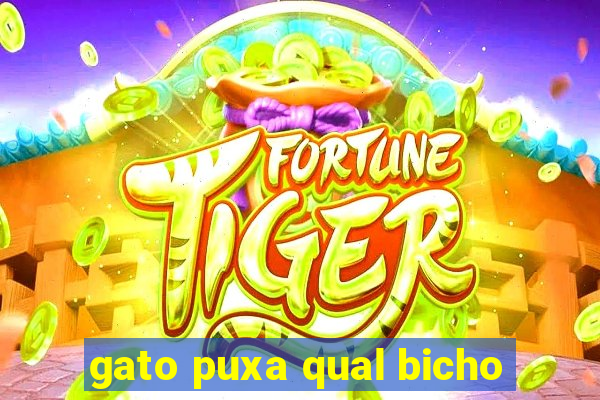 gato puxa qual bicho