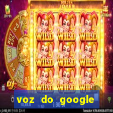 voz do google tradutor homem