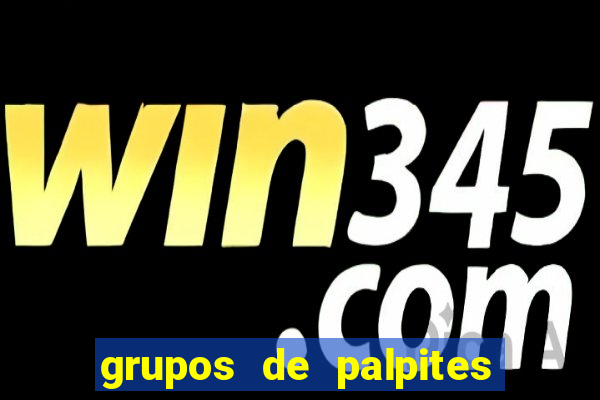 grupos de palpites de futebol whatsapp
