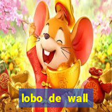 lobo de wall street online