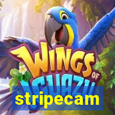 stripecam