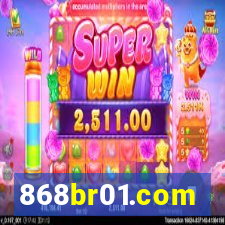 868br01.com