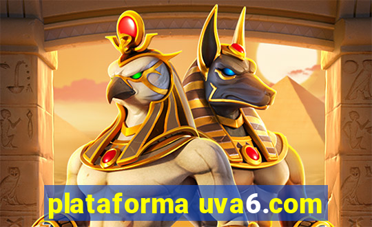 plataforma uva6.com