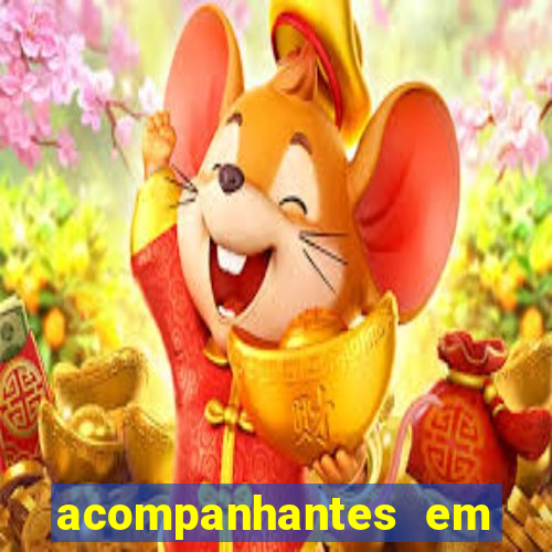 acompanhantes em porto velho