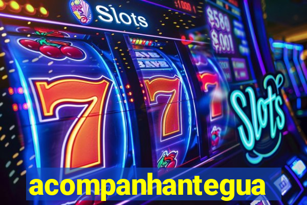 acompanhanteguanambi