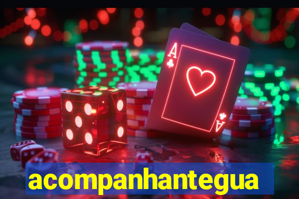 acompanhanteguanambi