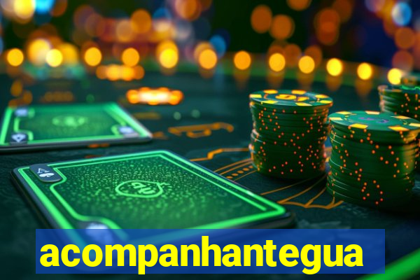 acompanhanteguanambi