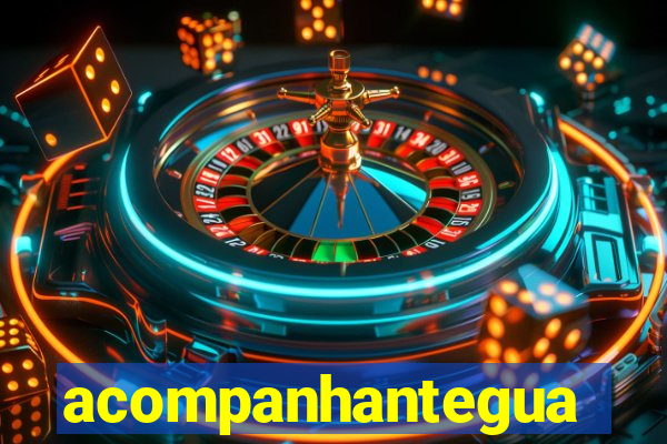 acompanhanteguanambi