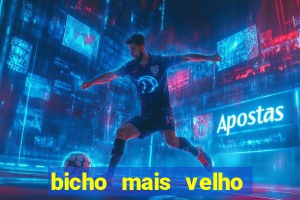 bicho mais velho da loteria dos sonhos