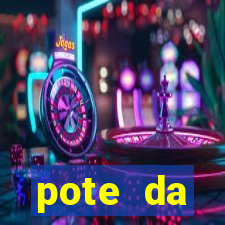 pote da prosperidade riqueza e fortuna 2024