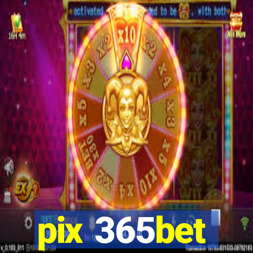 pix 365bet
