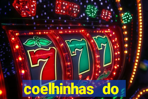 coelhinhas do brasil acompanhantes