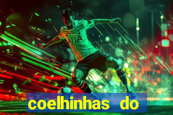coelhinhas do brasil acompanhantes
