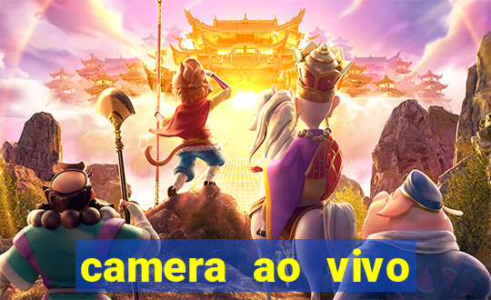 camera ao vivo terminal vila nova cachoeirinha
