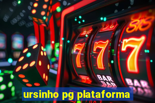 ursinho pg plataforma