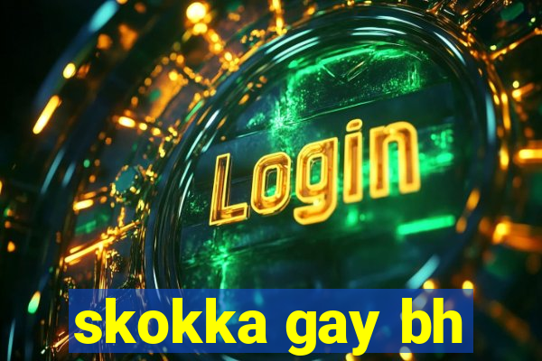 skokka gay bh