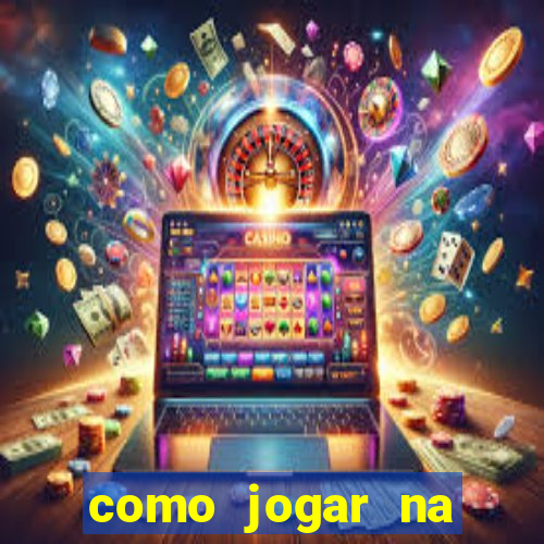 como jogar na lotinha do jogo do bicho