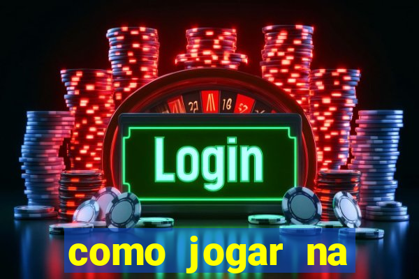 como jogar na lotinha do jogo do bicho