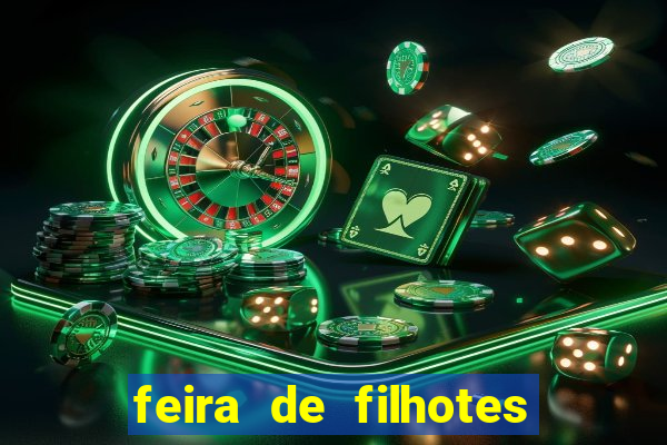 feira de filhotes porto alegre
