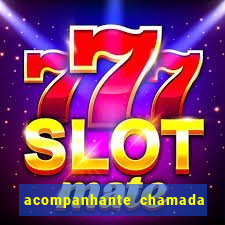 acompanhante chamada de video